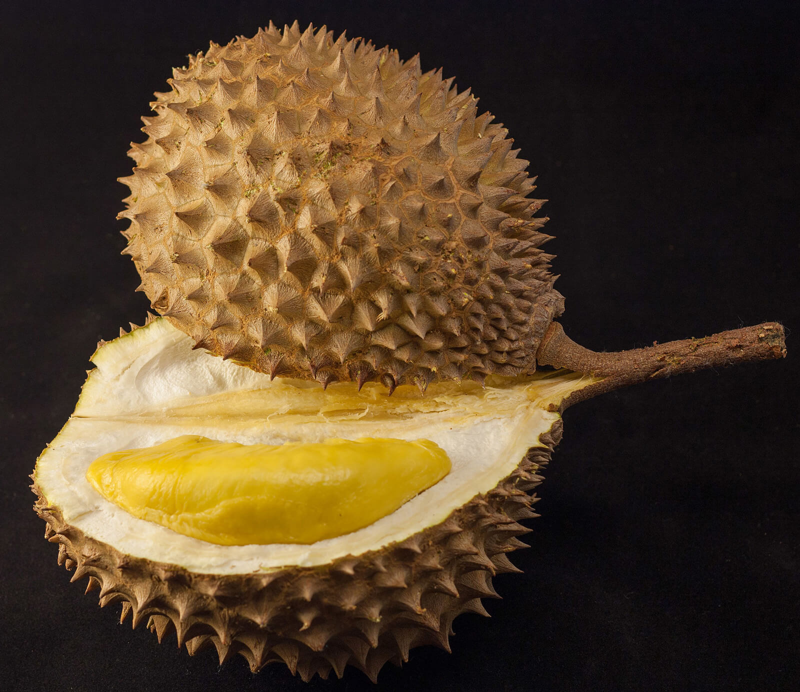 Durian: The King of Fruits – Absolutely Delicious, But the Smell is Unforgettable (and That’s Putting it Mildly) Durian: The King of Fruits – Absolutely Delicious, But the Smell is Unforgettable (and That’s Putting it Mildly)
